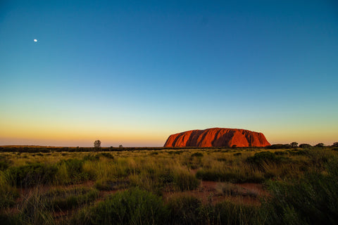 About Walkabout Australian Emu Oil And What Makes it Different