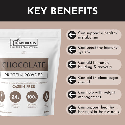 Just Ingredients Chocolate Protein Powder