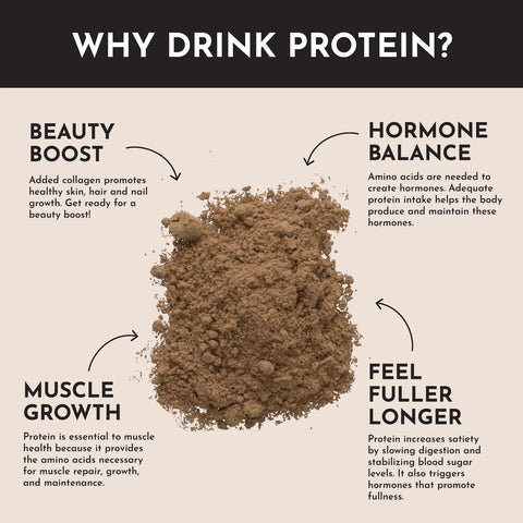 Just Ingredients Chocolate Protein Powder