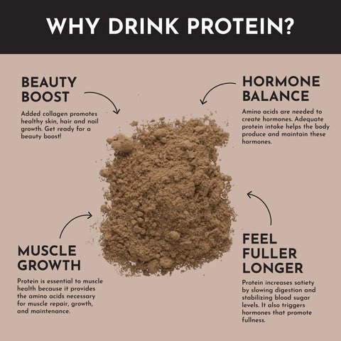 Just Ingredients Chocolate Protein Powder