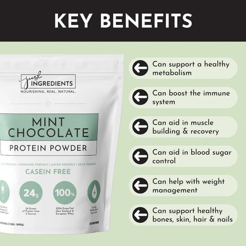 Just Ingredients Mint Chocolate Protein Powder