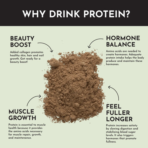 Just Ingredients Mint Chocolate Protein Powder